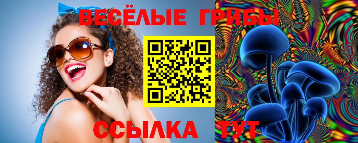 Псилоцибиновые грибы Cubensis  Вход с VPN  Сафоново 