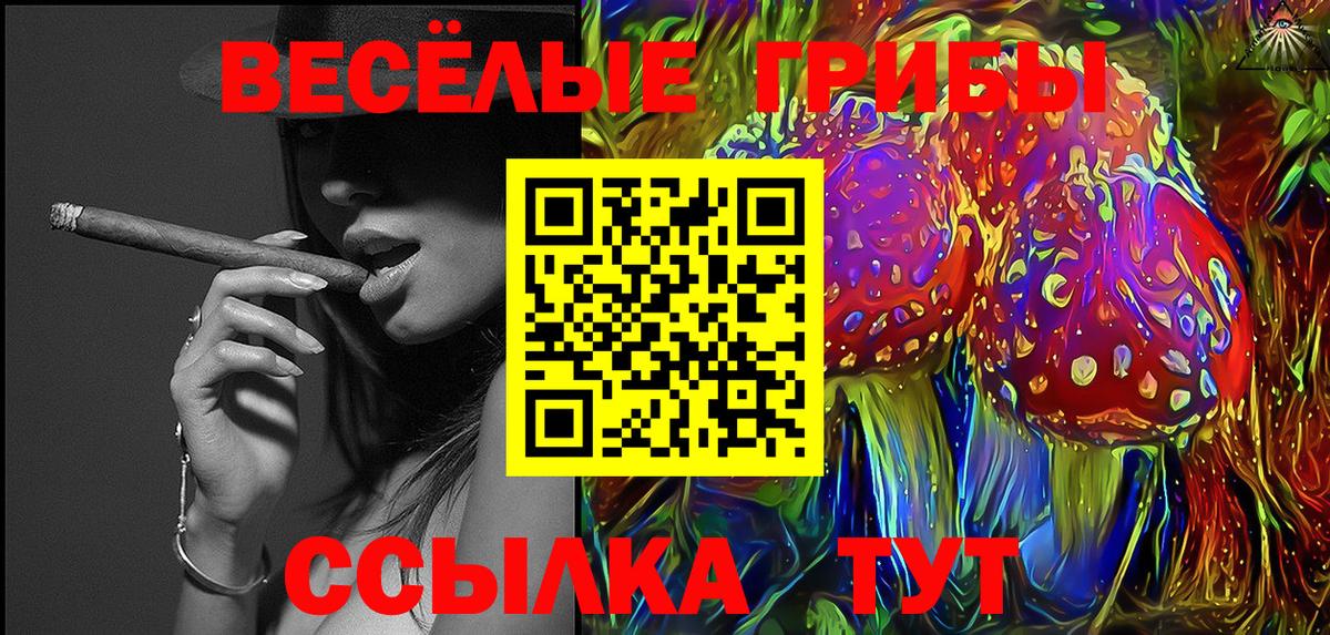 Псилоцибиновые грибы мицелий Сафоново